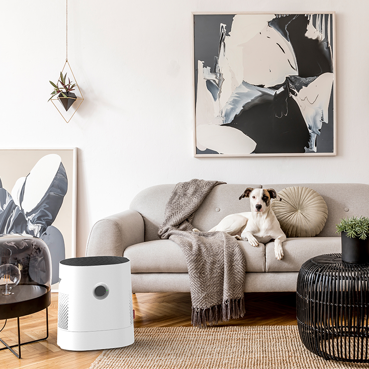 Humidifier Air Washer W220