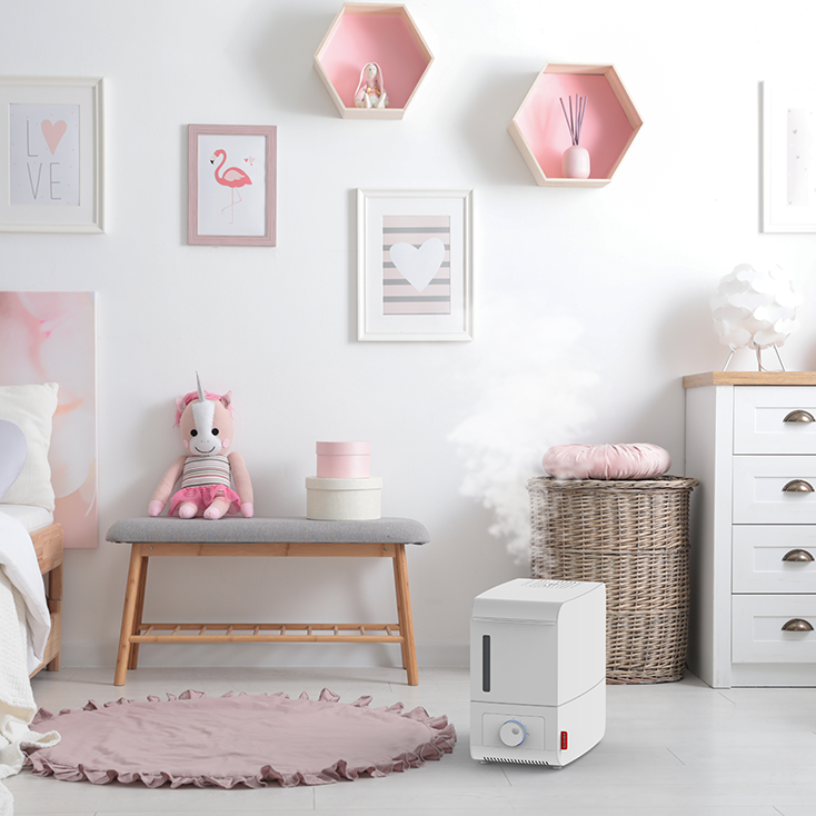 Humidifier Steamer S200