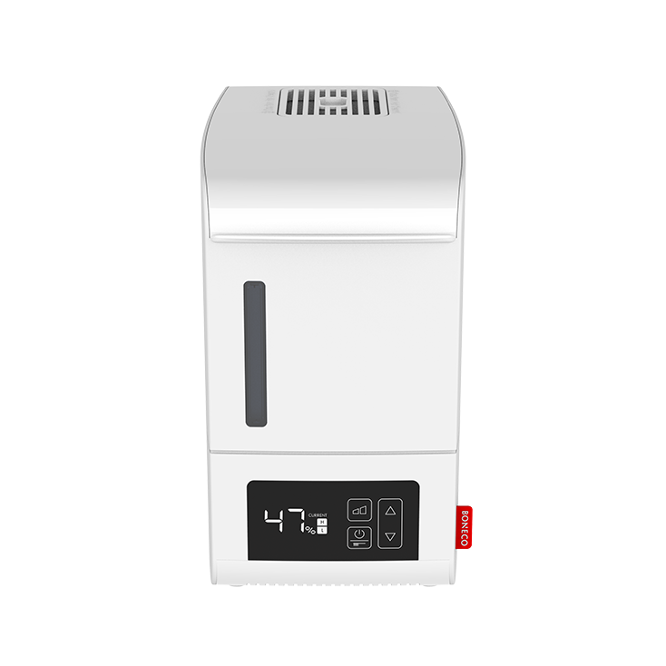Humidifier Steamer S250