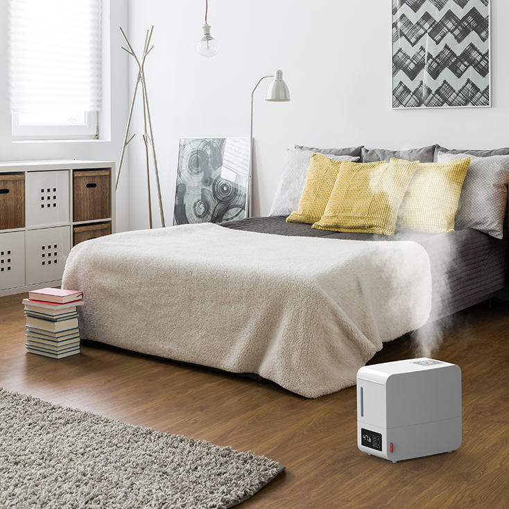 Humidifier Steamer S250