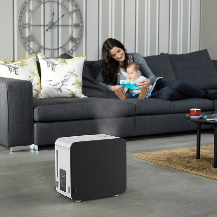 Humidifier Steamer S450