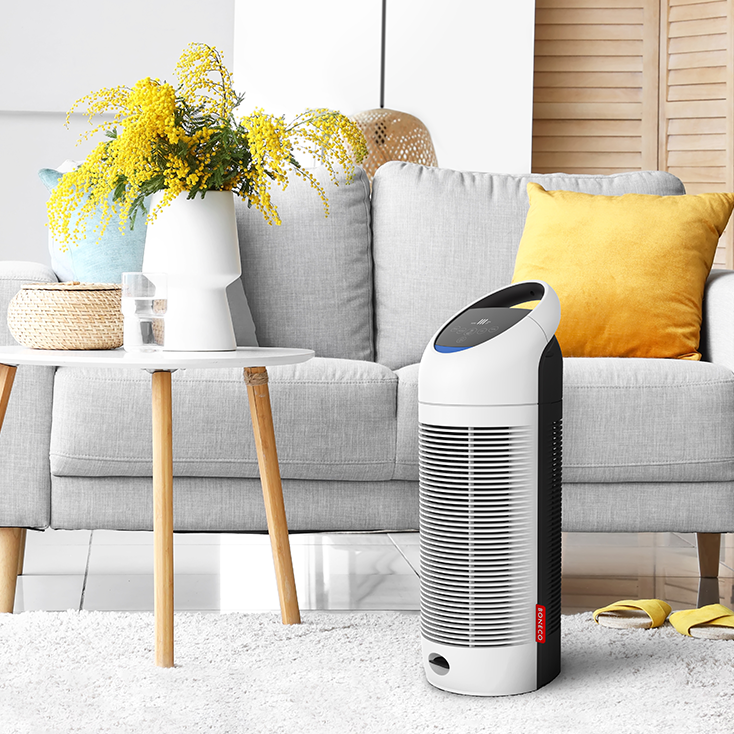 Air Purifier P300