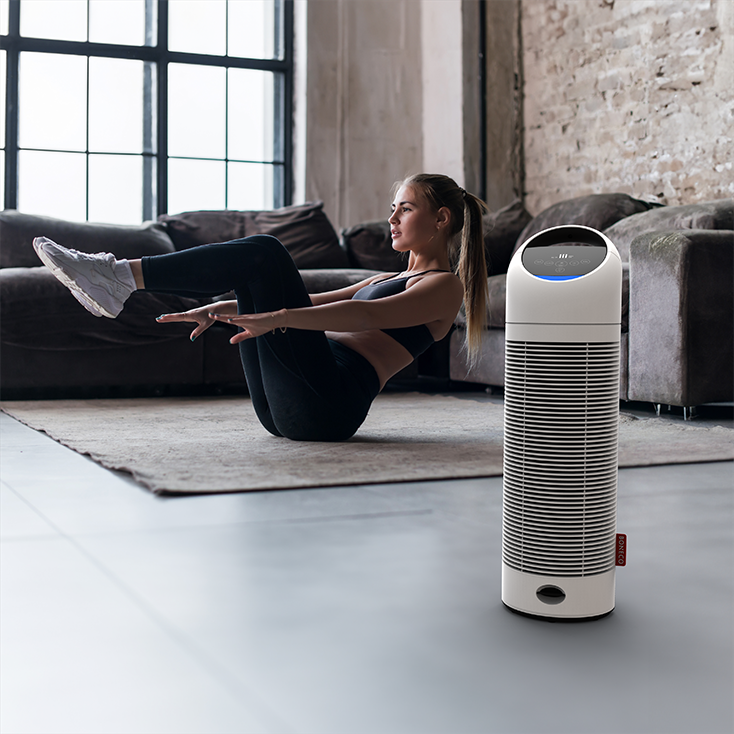 Air Purifier P370