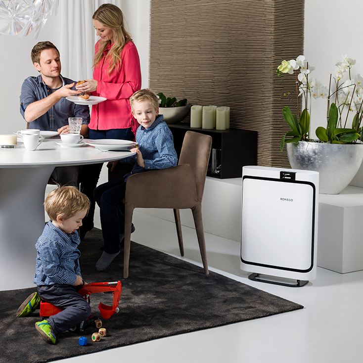 Air Purifier P500